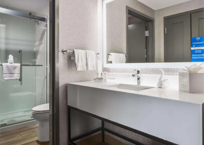 Homewood By Hilton Dfw Airport South, Tx Hotel 3*