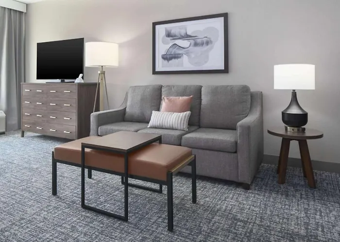 Homewood By Hilton Dfw Airport South, Tx Hotel