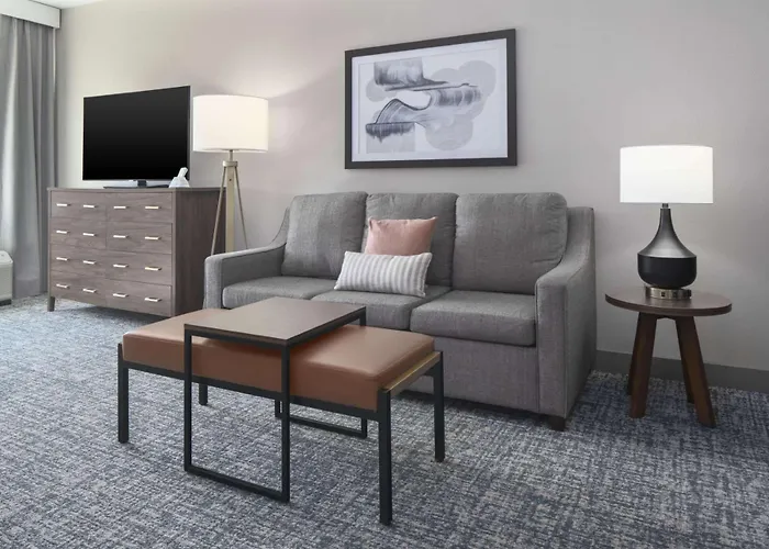 Hotel Homewood By Hilton Dfw Airport South, Tx 3*